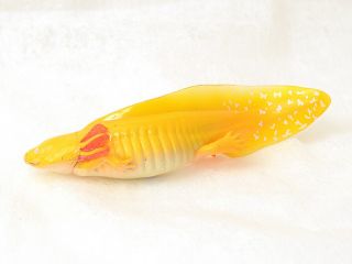 Kitan Club Ikimon Natural Techni Colour Golden Axolotl Magnet