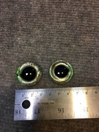 Glass Eyes Fish Taxidermy One Pair 29mm