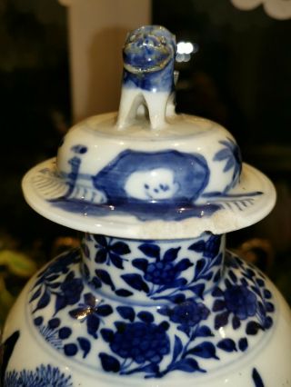 Large Antique Chinese Blue & White Porcelain Vase Kangxi Marked Foo Dog 33cm 2 3
