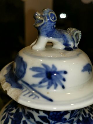 Large Antique Chinese Blue & White Porcelain Vase Kangxi Marked Foo Dog 33cm 2 4