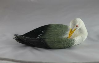 Seagull Platter,  A Lovely Bird Nibble Serving Platter Or Keys & Nick Nack Holder