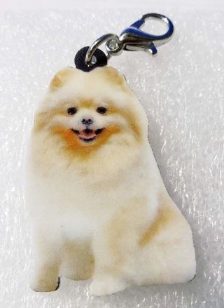 Pomeranian Sitting Realistic Acrylic Double - Side Purse Charm Zipper Pull Jewelry