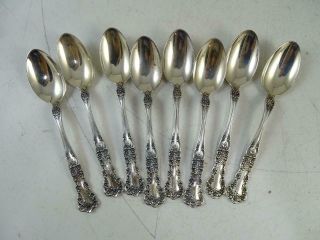 Antique Gorham Sterling Silver Demitasse Spoon Set 1899 Buttercup 79.  9 Grams X8