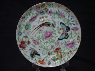 Chinese Hp Porcelain Famille Rose Plate (2)