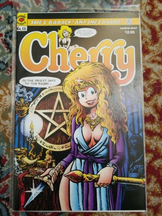 Cherry 13 Comic Book (2000) Cherry Comics Larry Welz