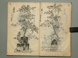 Japanese Flower Arrangement Ikebana Kado Japanese Manuscript Handwriting Book