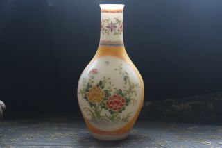 Exquisite Chinese Hand Painted Morning Glory Coloured Glaze Vase Qianlong H1