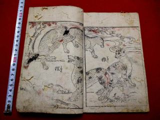 1 - 10 Rare Japanese Animal Kini Woodblock Print Book