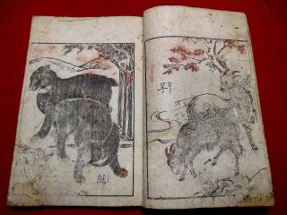 1 - 10 Rare Japanese Animal KINI Woodblock print BOOK 5