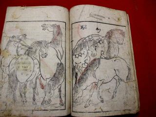 1 - 10 Rare Japanese Animal KINI Woodblock print BOOK 7