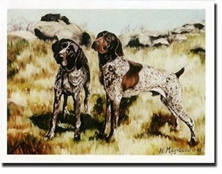 German Shorthaired Pointer Pair Notecards 6 Note Cards 6 Envelopes Ruth Maystead