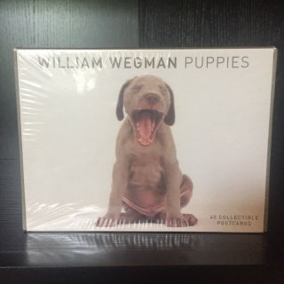 William Wegman Weimaraner Puppies Collectible Postcards Set Of 40 Nib 2001