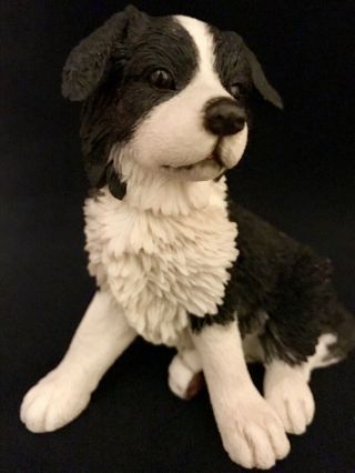 Border Collie Puppy Herding Dog Country Artists Sculpture Figurine