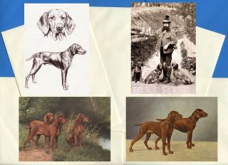 Hugarian Vizsla Pack Of 4 Vintage Style Dog Print Greetings Note Cards