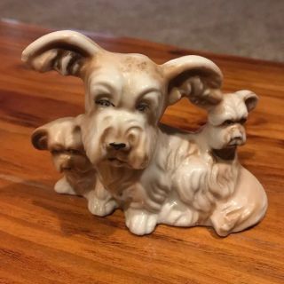 Vintage Porcelain Skye Terrier Dog W/ Puppies Figurine Made In Japan
