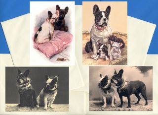 French Bulldog Pack Of 4 Vintage Style Dog Print Greetings Note Cards 1