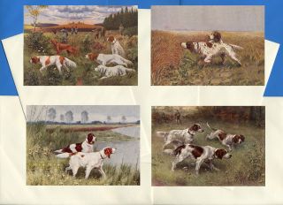 Irish Red & White Setter Pack Of 4 Vintage Style Dog Print Greetings Note Cards