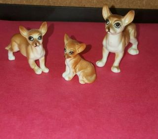 Vintage Set Of 3 Miniature Japanese Bone China Chihuahua Dog Figurines