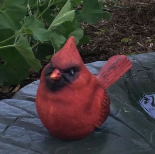 Resin Cardinal Red Bird Figure Garden Christmas Home Decor 3 Inch Pose 3