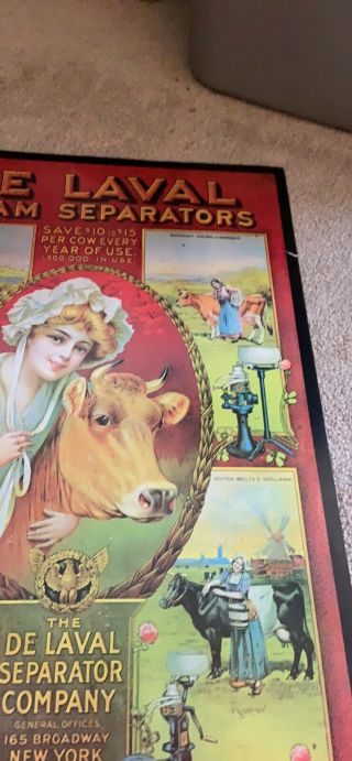 Antique Vintage 1910 De Laval Cream Separators Cow Tin Sign Milk Cream Litho Ad 6