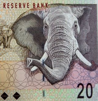 South Africa 20 Rand Banknote 2009 Elephant On Money Uncirculated Currency