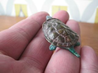 Fabulous Cold Painted Miniature Vienna Bronze Of Tortoise or Turtle 2