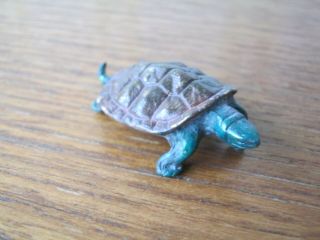 Fabulous Cold Painted Miniature Vienna Bronze Of Tortoise or Turtle 3