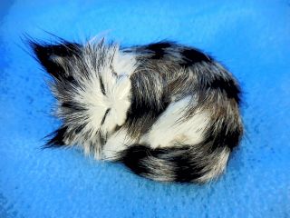 3 " Real Fur Kitten Sleeping - Cute