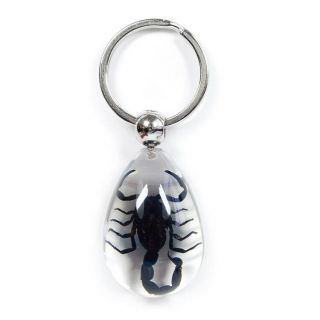 Scorpion Real Keychain Ring Insect Bug Clear Key Chain Keyring Lucite