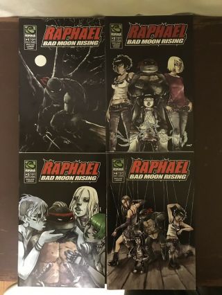 Raphael Bad Moon Rising 1 - 4,  Comic,  Teenage Mutant Ninja Turtles,  Mirage