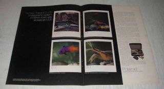 1980 Polaroid Cu - 70 Photographic System Ad - Close - Ups