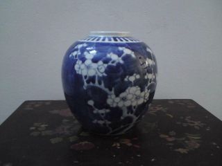 19thc Antique Chinese Blue & White Porcelain Prunus Ginger Jar Medium Size