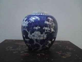 19thc antique Chinese blue & white porcelain prunus ginger jar medium size 3