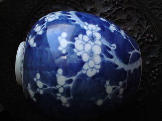 19thc antique Chinese blue & white porcelain prunus ginger jar medium size 6