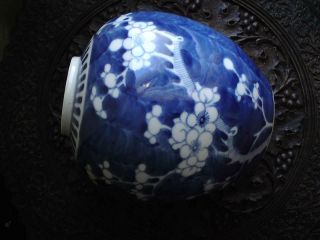 19thc antique Chinese blue & white porcelain prunus ginger jar medium size 7