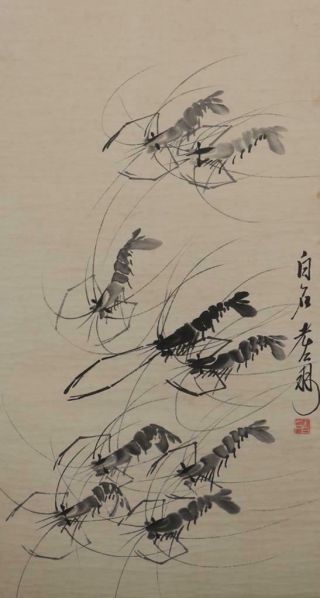 Fine Chinese Hand - Painting Painting Scroll Qi Baishi Marked - Shrimp
