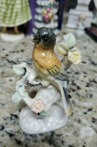 Vintage Ardalt Lenwile Porcelain Oriole Bird Figurine 6870