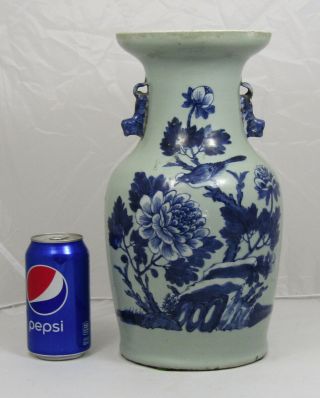 Chinese 19th C.  Blue White Celadon Vase