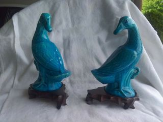 Antique Chinese Export Porcelain Duck Figurines 7.  5 Inches Tall With Stands