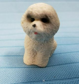 Bichon Frisé Puppy Dog Miniature Doll House Figurine 1.  25 " White