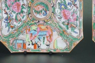 Pair Antique Chinese Canton Famille Rose Porcelain Square Plate Tray 19th C 8