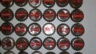 100 Budweiser Bottle Caps with Red Logo 4