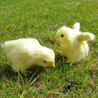 2 X Realistic Lifelike Easter Baby Chicks Plush Furry Farm Animal Prop Chicken