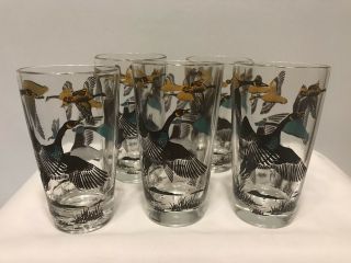 5 Wild Pheasant Hunting Birds Drinking Glasses Cocktail Whiskey Tumblers