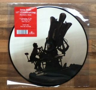 Kate Bush - Cloudbusting - 12 " Vinyl Picture Disc -