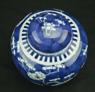 Chinese Export Blue & White Ginger Jar with lid Porcelain 2
