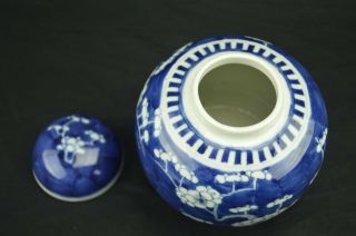 Chinese Export Blue & White Ginger Jar with lid Porcelain 3