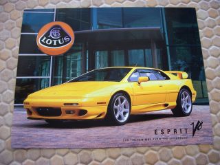 Lotus Esprit V8 Single Sheet Sales Brochure 2002 - 2004 Usa Edition