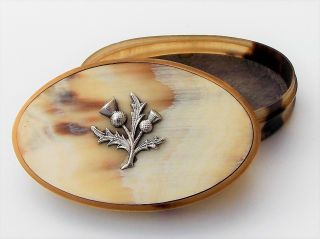 Georgian Pocket Oval Scottish Horn Snuff Box With Solid Silver Thistle