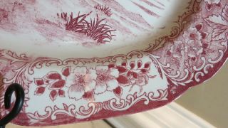 Vintage Corona Turkey Platter Pink & White Transferware - Make in Japan 4